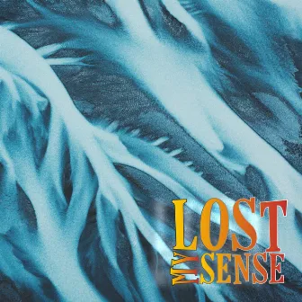 Lost My Sense by Conte Max