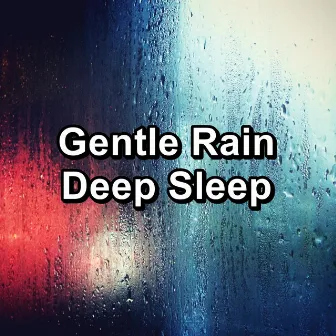 Gentle Rain Deep Sleep by Tracks of Nature