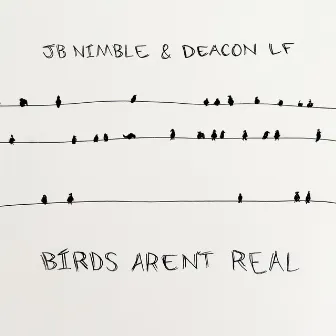 Birds Aren't Real by JB Nimble