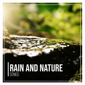 Spiritual Ambient Rain and Nature Songs by Rainforest Music Therapy