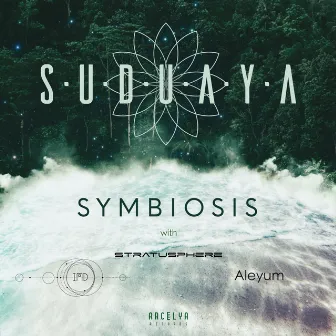 Symbiosis by Suduaya