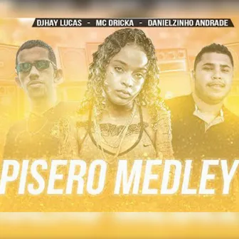 Piseiro Medley by Danielzinho Andrade