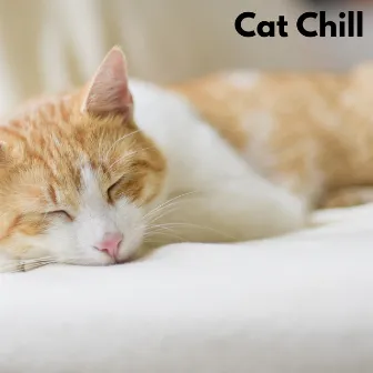 Cat Chill (Loopable, No Fade) by Heure de Musique de Chat