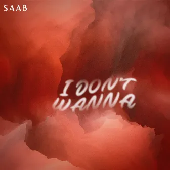 I Don't Wanna by Saab