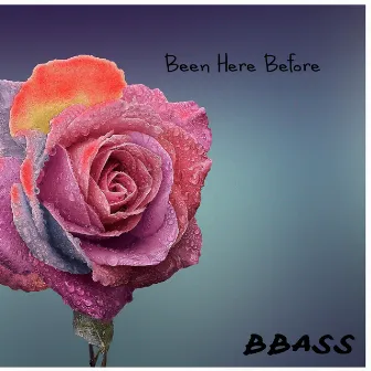 Been Here Before by BBass