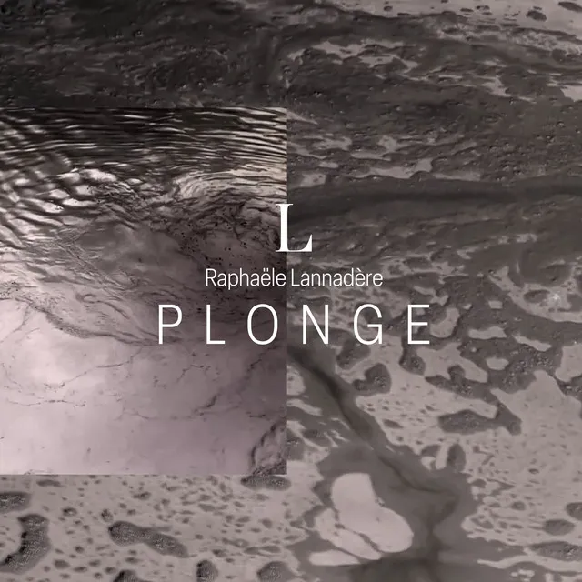 Plonge (Remix)