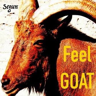 Feel Goat by Segun