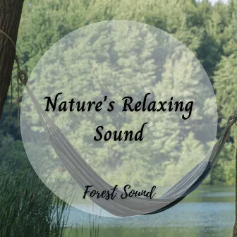 Forest Sound: Nature's Relaxing Sound by Play relaxing music