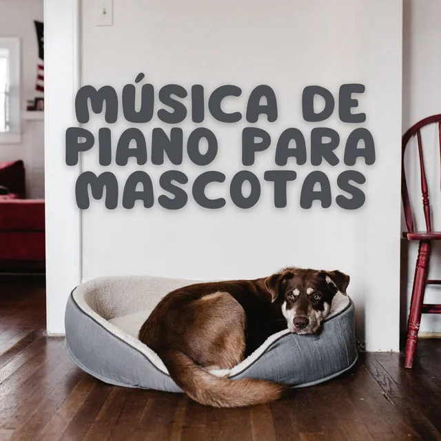 Música De Piano Para Mascotas