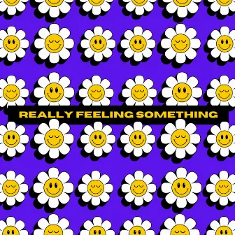 REALLY FEELING SOMETHING by DJ SCHEMA