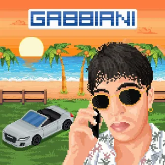 Gabbiani by Rhase