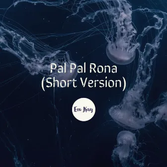 Pal Pal Rona (Short Version) by Em Kay