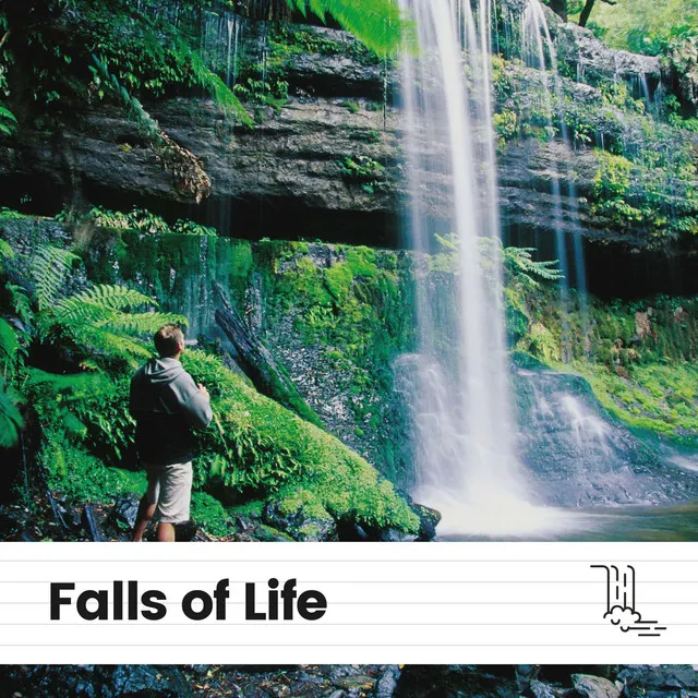 Falls of Life