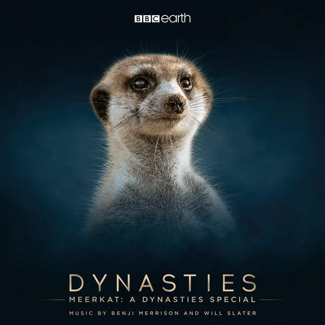 Meerkat: A Dynasties Special (Original Television Soundtrack)