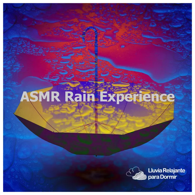 ASMR Rain Experience