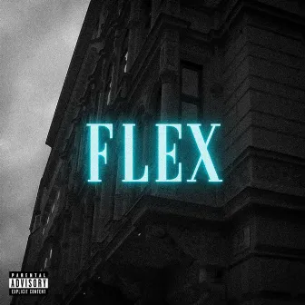 FLEX by Unknown Artist