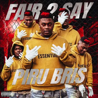 FAIR 2 Say by Piru Bris