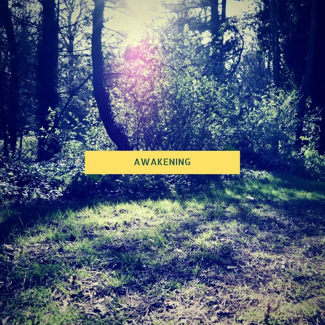 Awakening