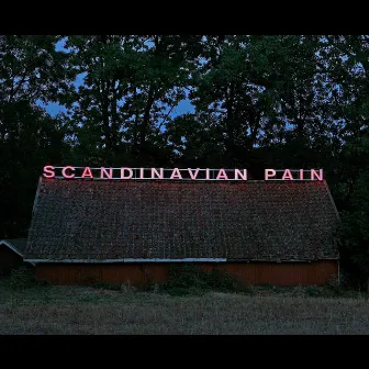 Scandinavian Pain by Retro Stefson