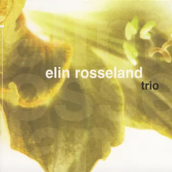 Trio by Elin Rosseland