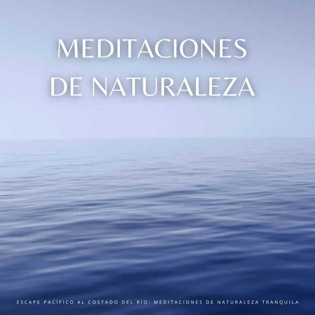 Oasis De Meditación De La Naturaleza