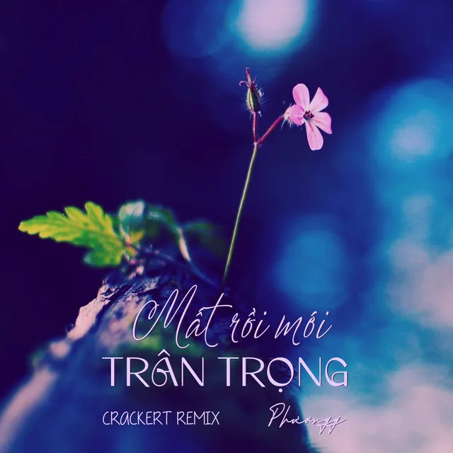 Mất Rồi Mới Trân Trọng - CrackerT Remix