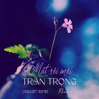 Mất Rồi Mới Trân Trọng (CrackerT Remix) by 