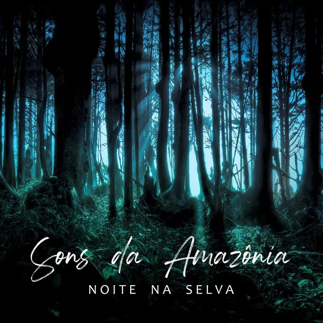 Sons Da Amazônia - Noite Na Selva