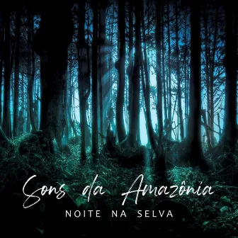 Sons Da Amazônia - Noite Na Selva by Sons Da Natureza Projeto Brasil Natural