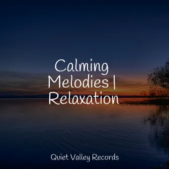 Calming Melodies | Relaxation by Study Power