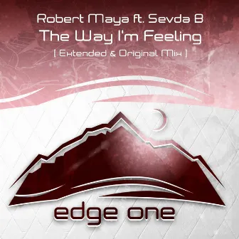 The Way I'm Feeling by Robert Maya