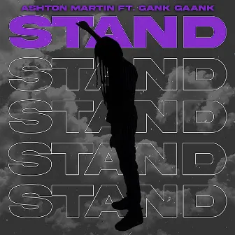 Stand (Slowed) by It's Ashton Martin