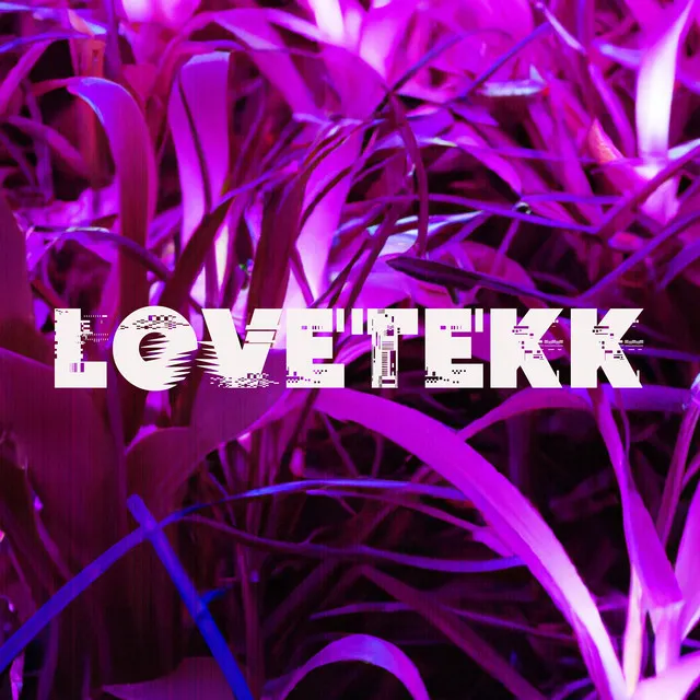 Lovetekk