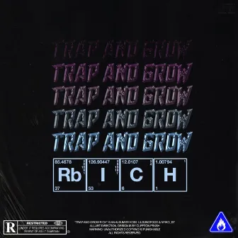 Trap, & Grow Rich by Lilsunofgod