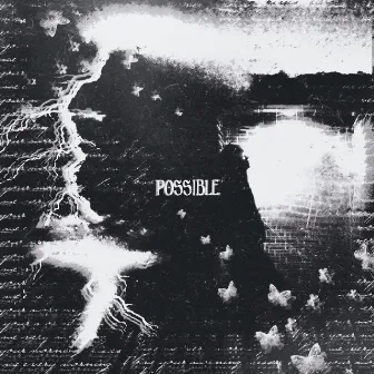 POSSIBLE by Berlam