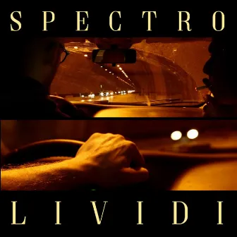 Lividi by Spectro Official