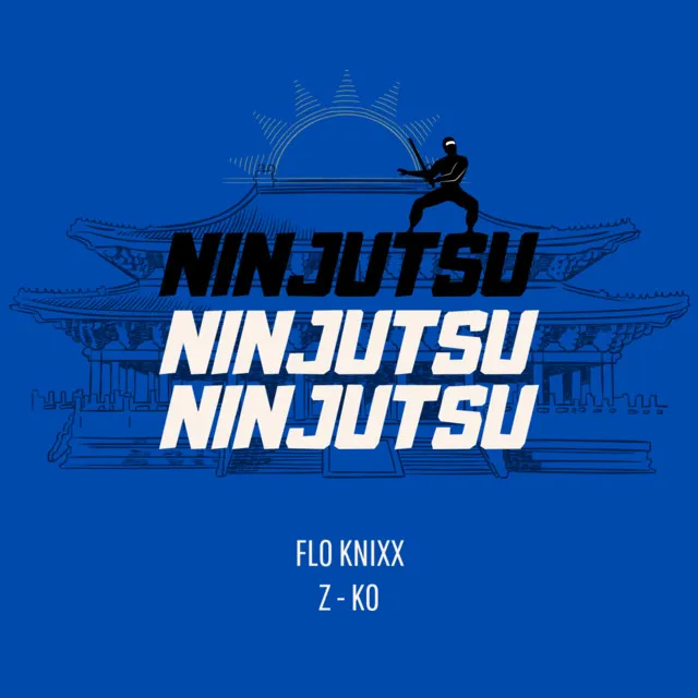 Ninjutsu