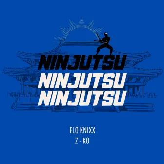 Ninjutsu by Flo Knixx