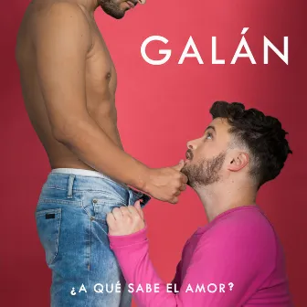 ¿A Qué Sabe el Amor? by Galán