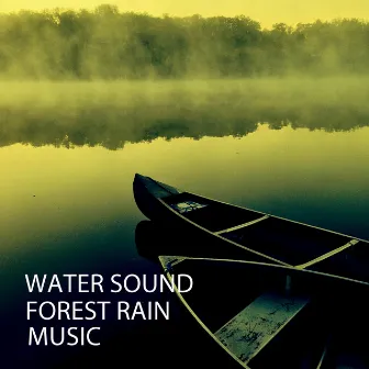 Water Sound: Forest Rain Music by Atmospheric Rivers