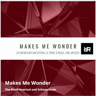 Makes Me Wonder by Echoesmusic