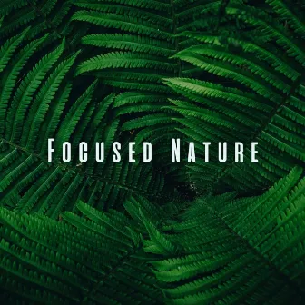 Focused Nature: Binaural Sounds for Intense Study Sessions by Studying