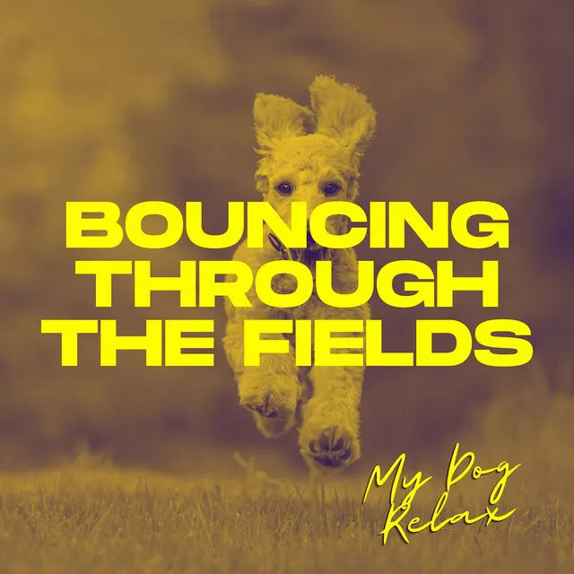 Bouncing Through the Fields