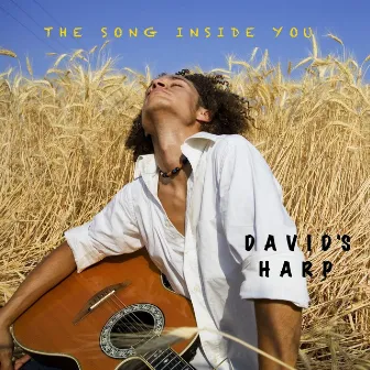 The Song Inside You by David Sharp