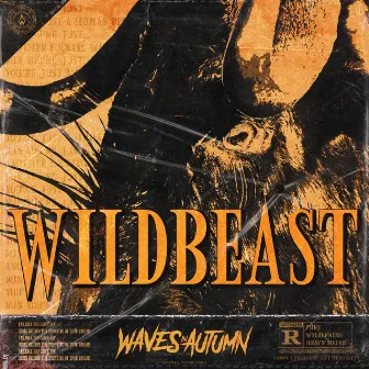 Wildbeast by Waves In Autumn