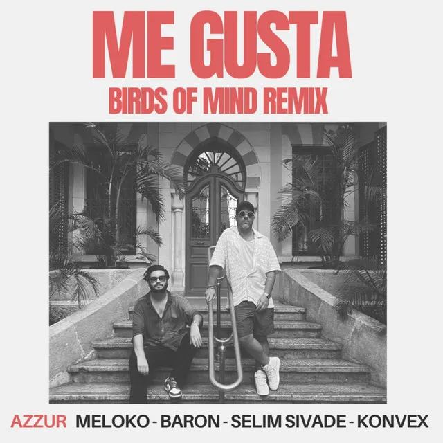 Me Gusta - Birds Of Mind Remix