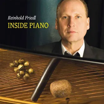 Inside Piano by Reinhold Friedl