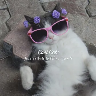 Cool Cats: Jazz Tribute to Feline Friends by Soft Acoustic Jazz