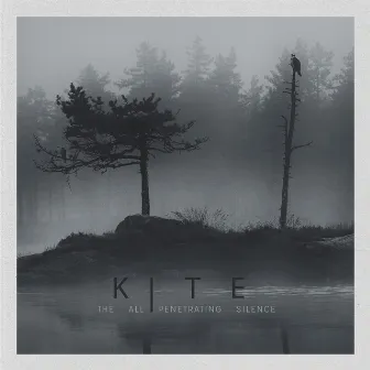 The All Penetrating Silence by Kite