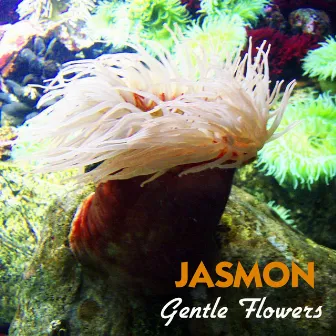 Gentle Flowers by Jasmon